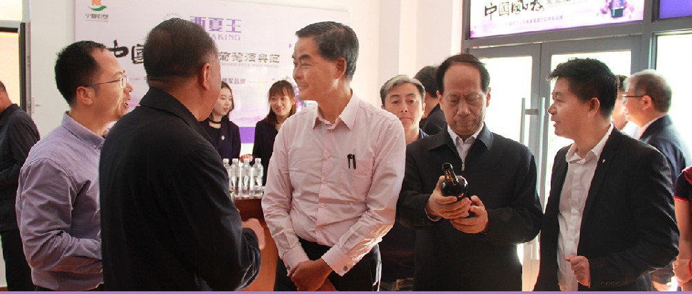 2019年4月21日，全国政协副主席梁正英、时任宁夏党委书记石泰峰莅临西夏王考察指导。